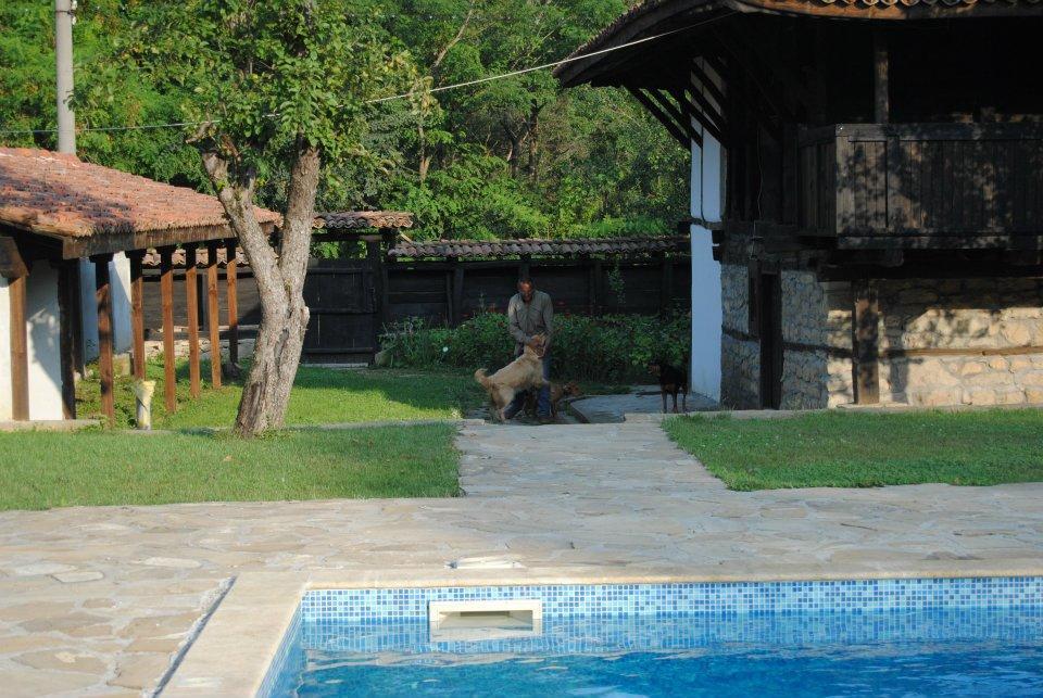 Ecopark Elena Hotel Exterior photo